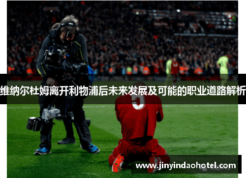 维纳尔杜姆离开利物浦后未来发展及可能的职业道路解析